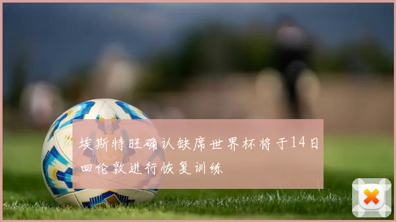埃斯特旺确认缺席世界杯将于14日回伦敦进行恢复训练